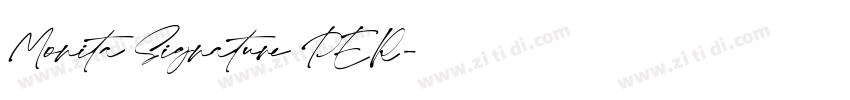 Monita Signature PER字体转换